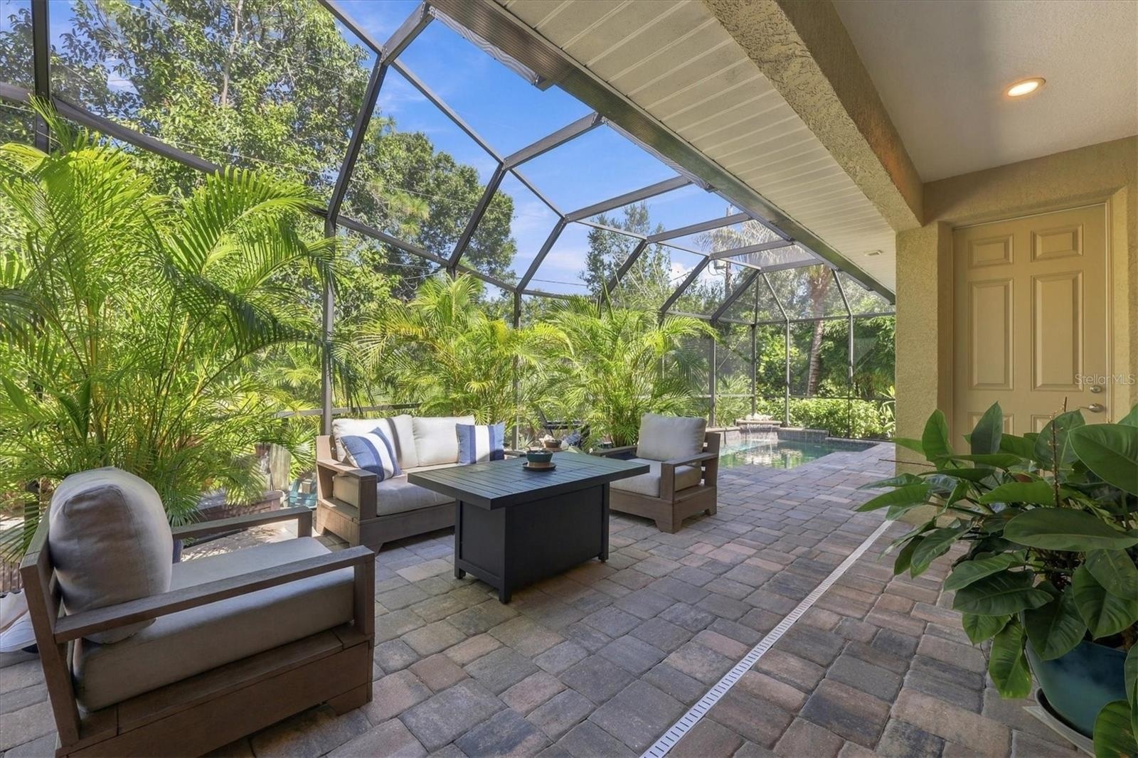 Gathering area & pool