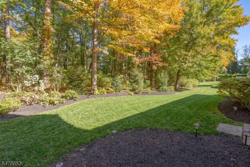 Rear yard