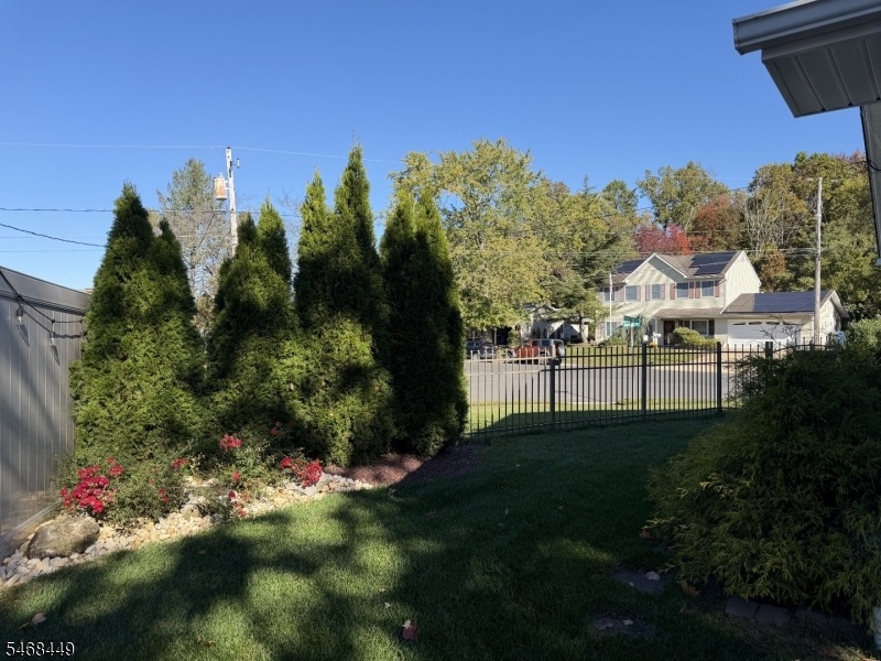 Backyard 3
