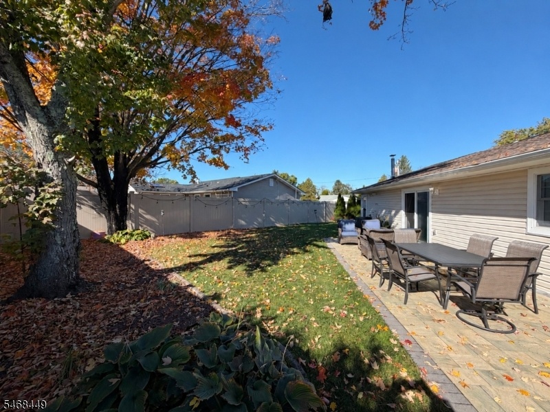 Backyard 2
