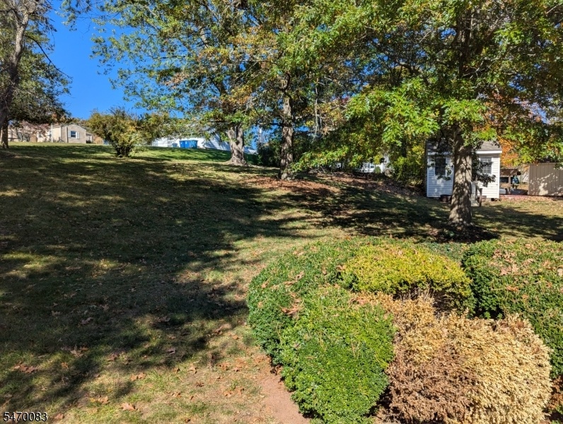 Rear Yard
