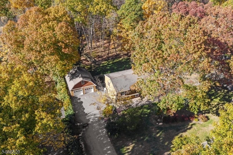 Birdseye View