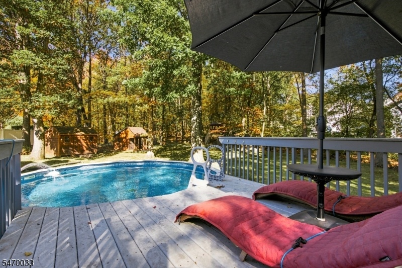 Deck and Pool