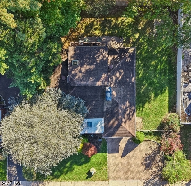 Birds Eye View