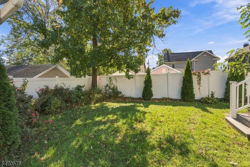 Backyard 3