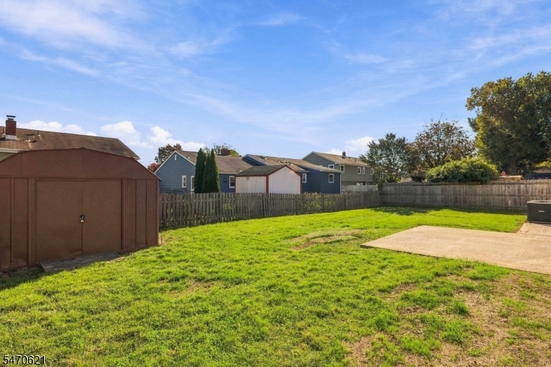 Backyard View 2