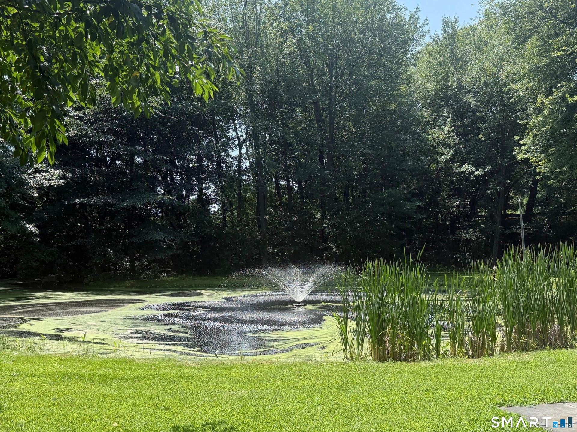 Pond