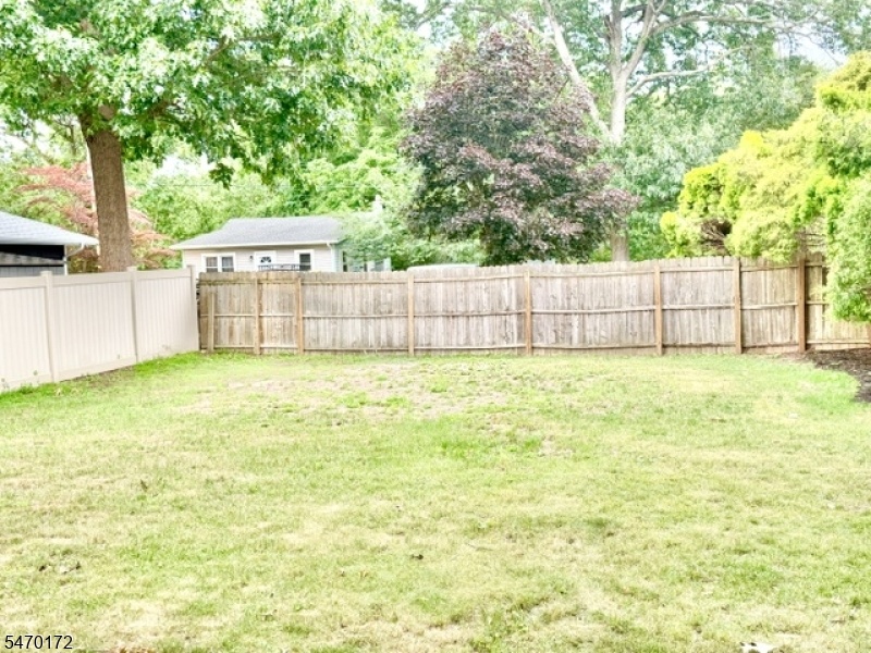 big back yard