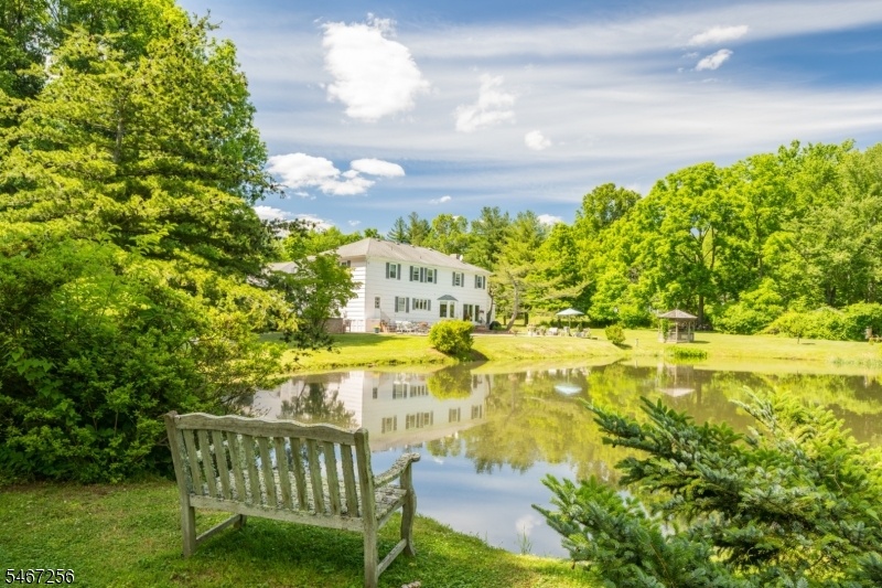Pond