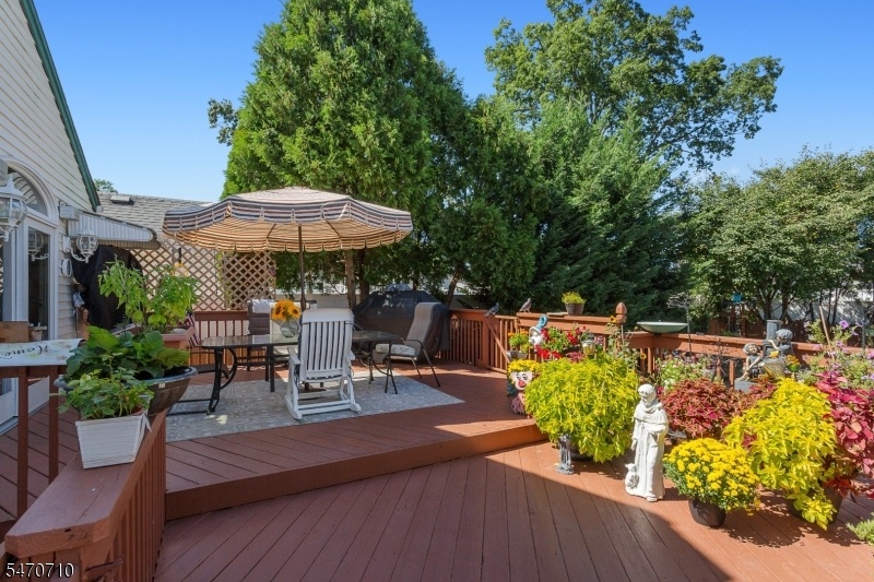Entertaining Deck