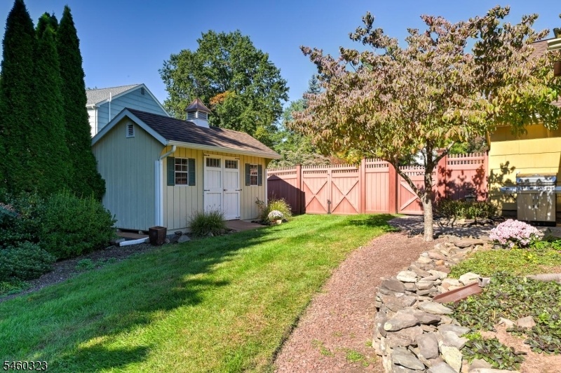 Back yard shed