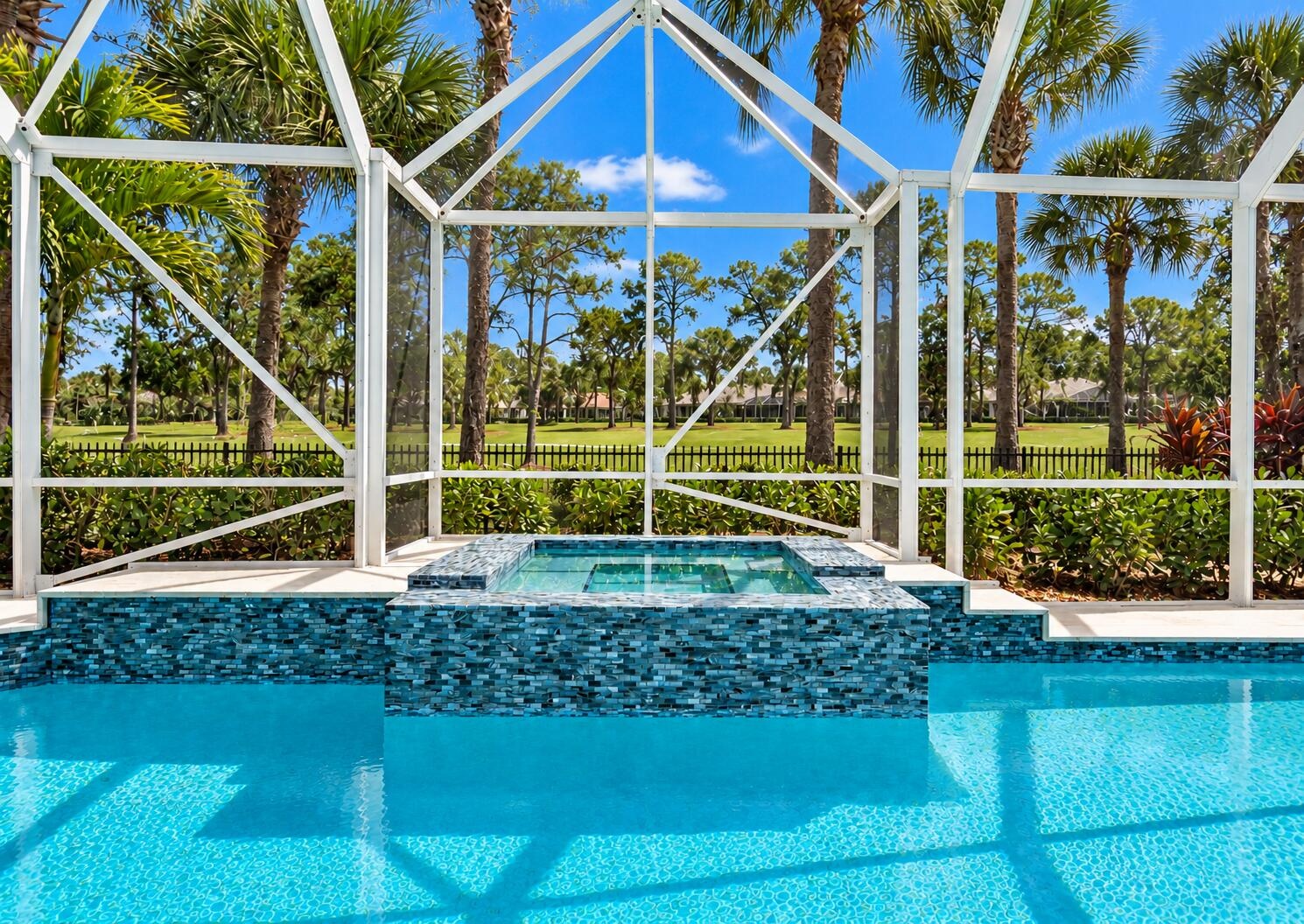 Pool with Raised Hot Tub