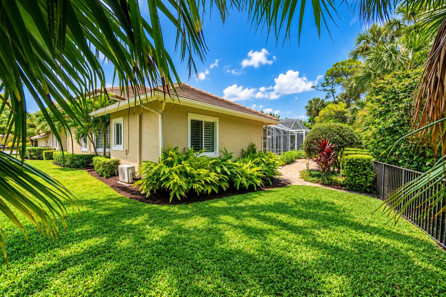 Backyard with lots of grass to roam
