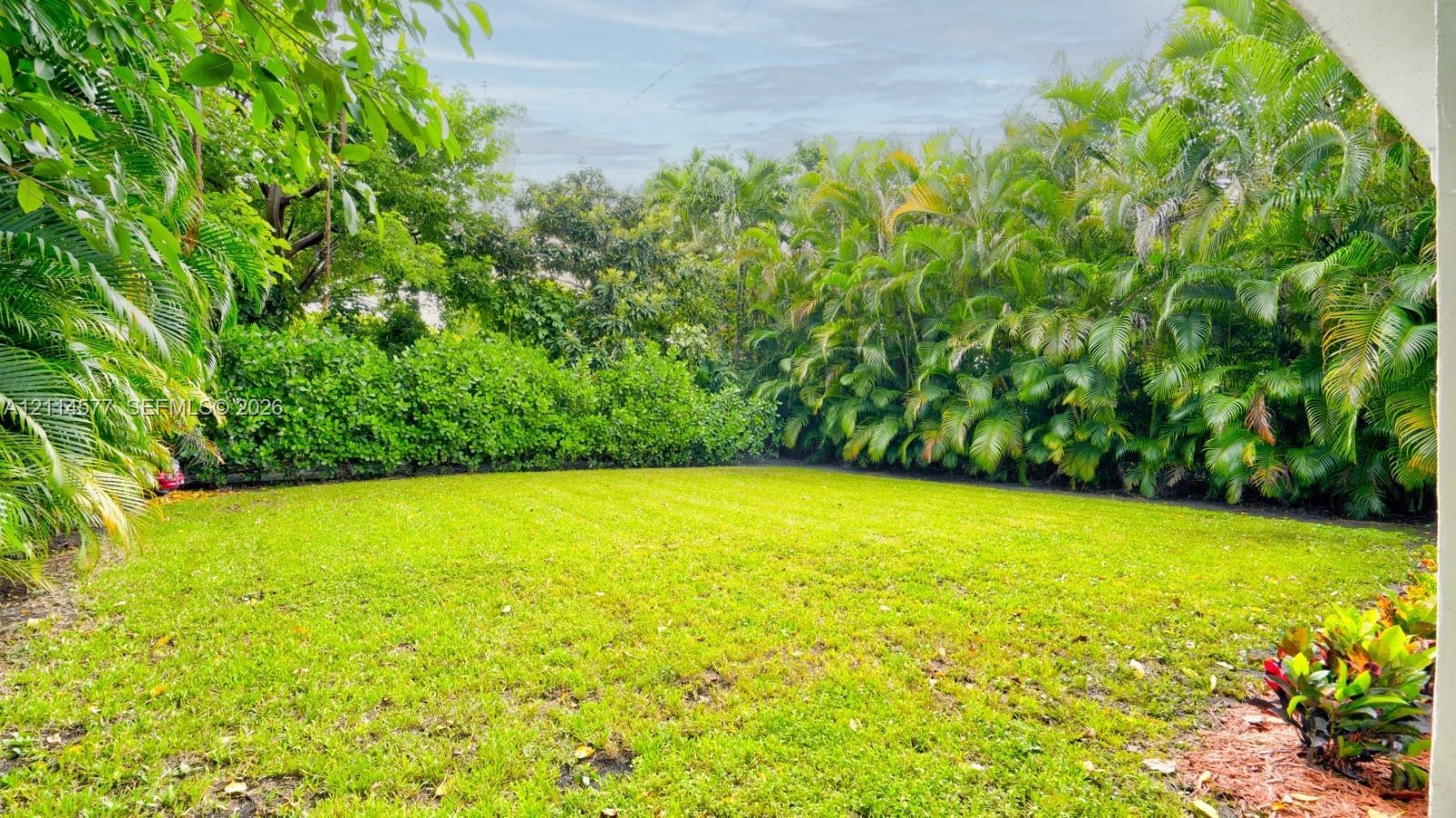 Backyard featuring a level lawn, mature perimeter palm trees, and dense shrubbery