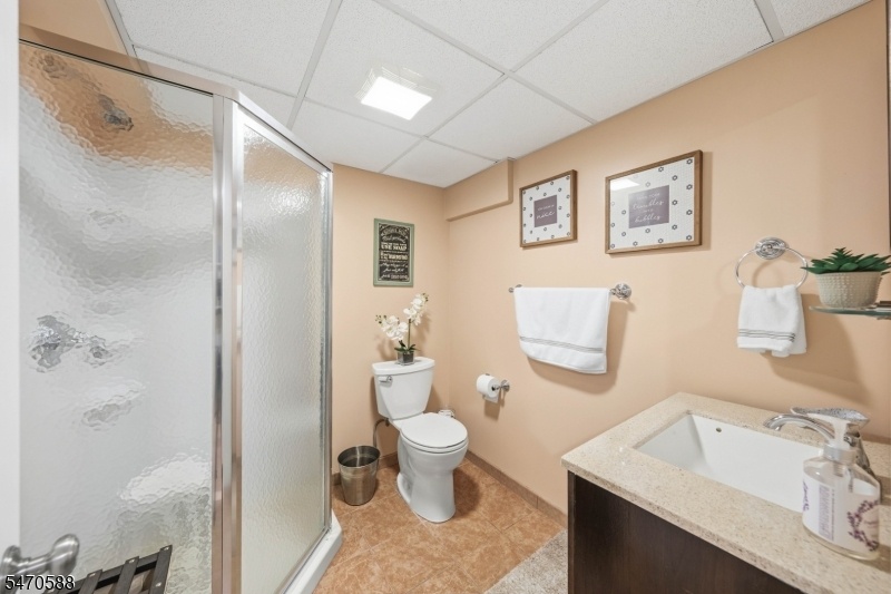 Basement Bathroom