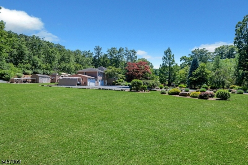 Side Yard