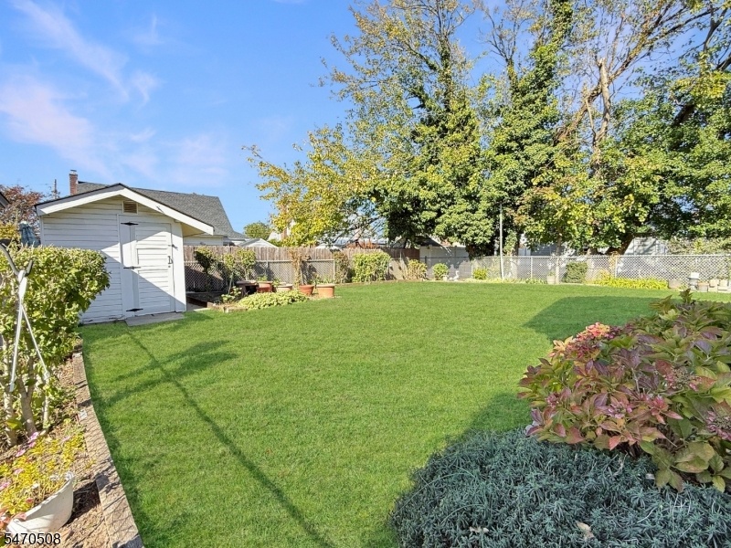 Large Level Backyard