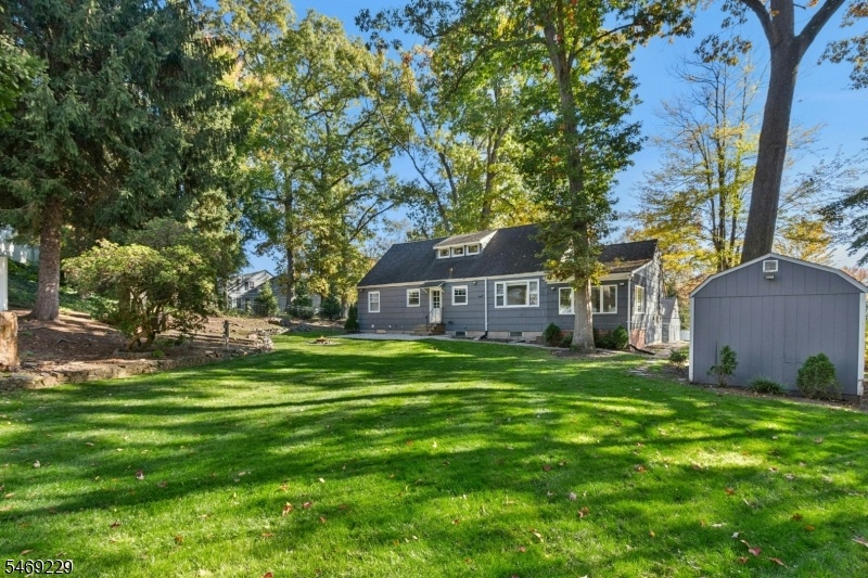 Large and Level Yard