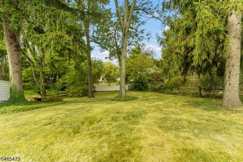 Large Yard