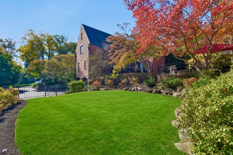 Fenced Yard