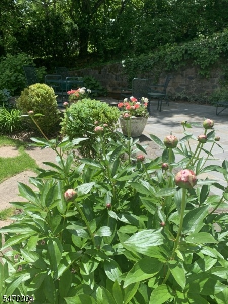 Bluestone Patio in Bloom