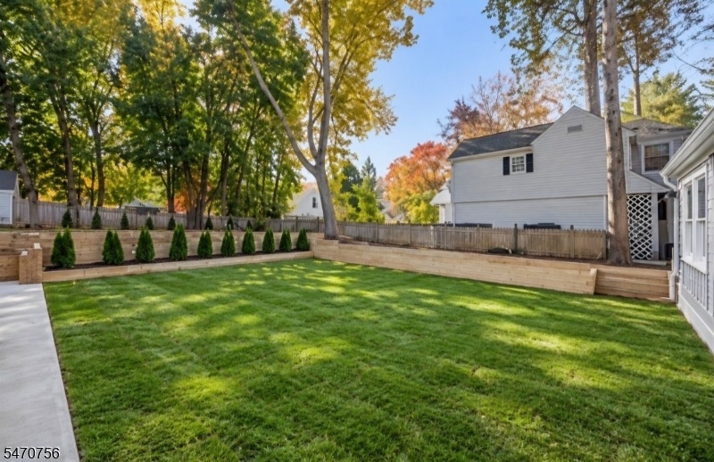 Rear yard