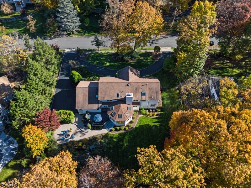 Drone View