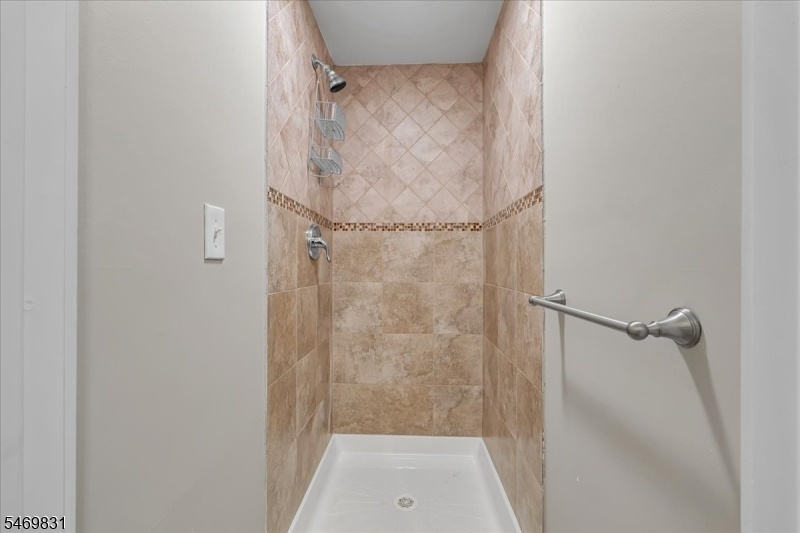 Lower Level Bathroom
