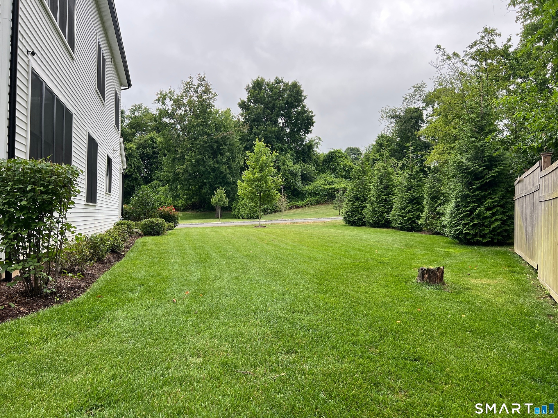 Side Yard