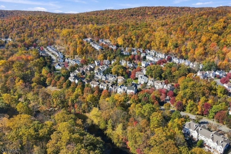 arial view