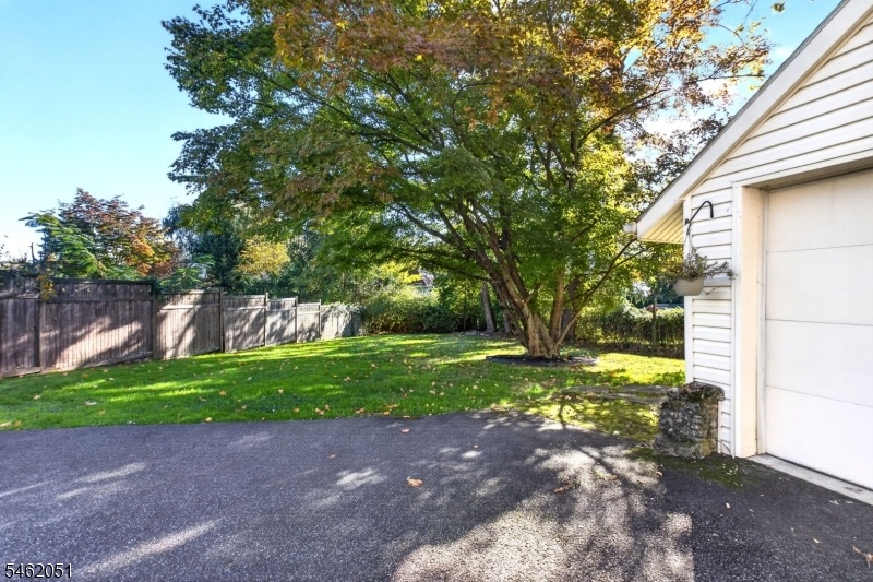 Rear level yard