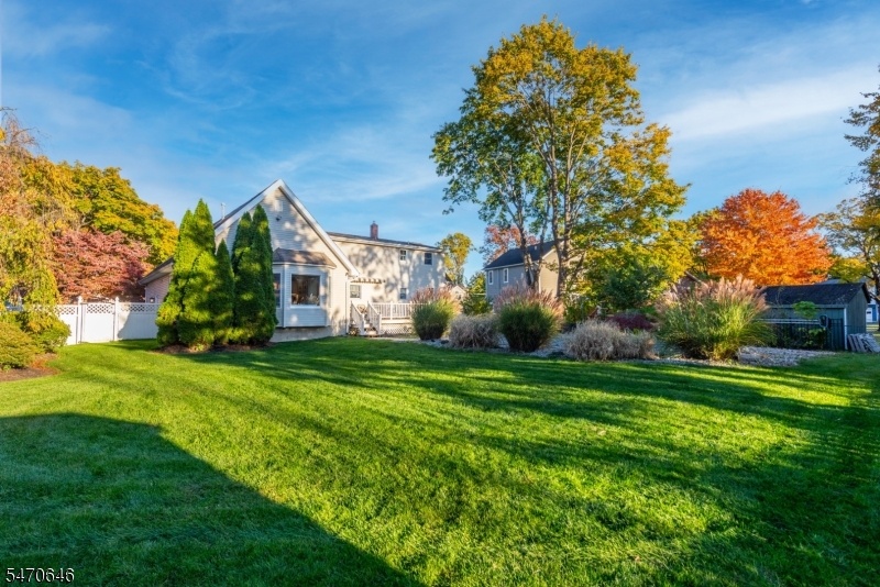 Rear Yard and View