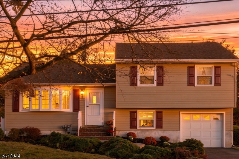 Front View