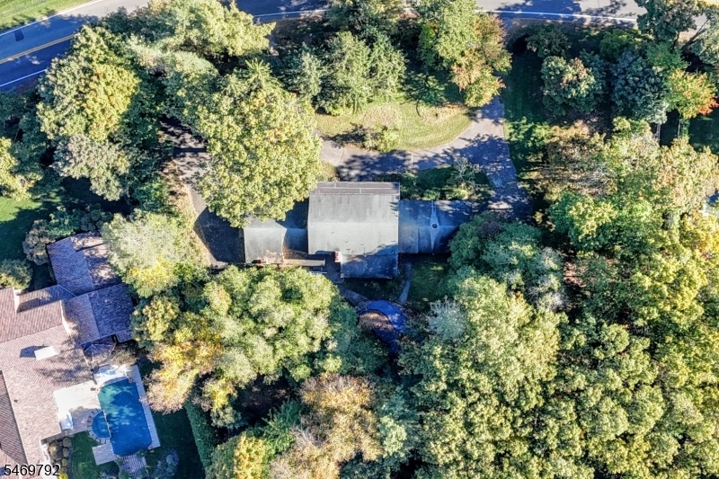 Wooded Lot