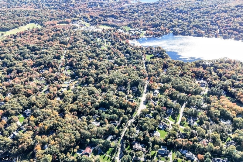 Wonderful Neighborhood