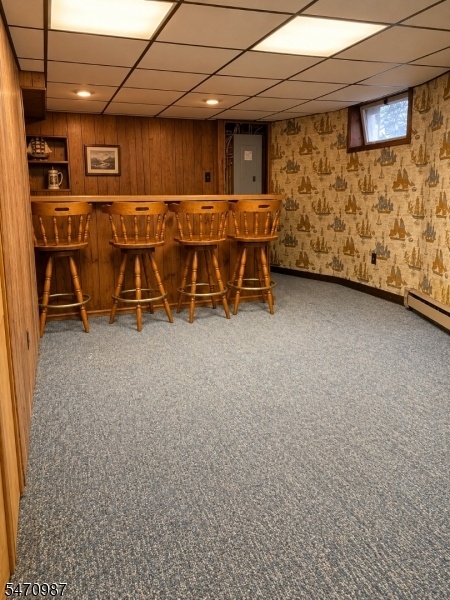 rec room bsmt