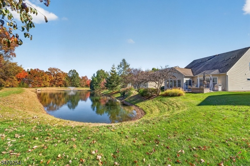 Pond behind house