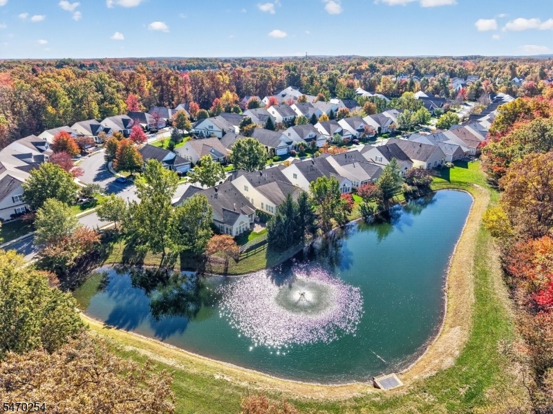 Aerial View of Back Area