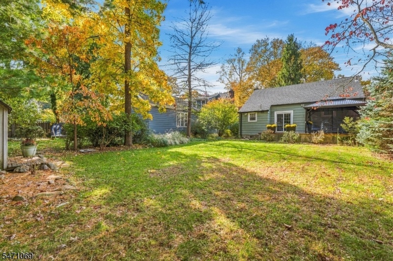 Rear Yard Alt View