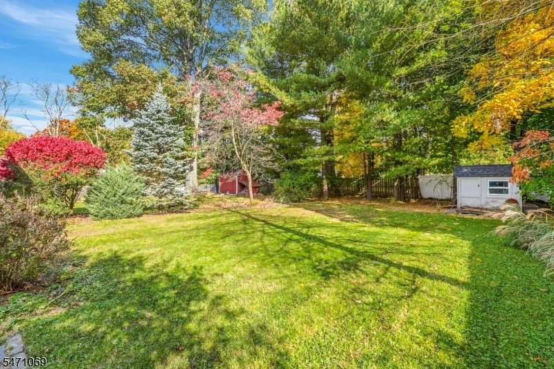 Gorgeous Level Back Yard!