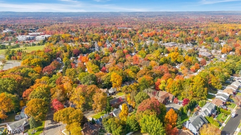 Lovely Tree Lined Neighborhood