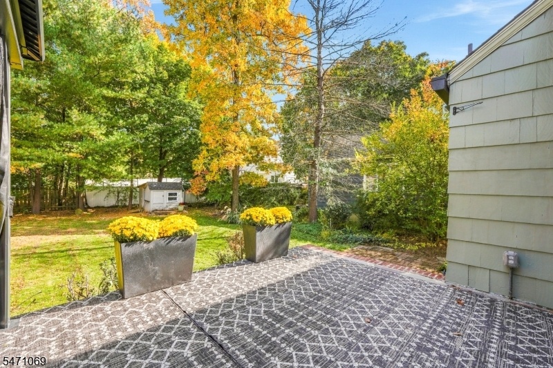 Rear Patio