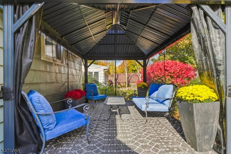 Pregola on Rear Patio