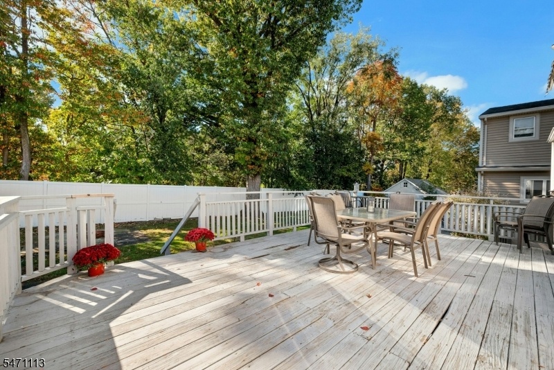 Expansive Deck