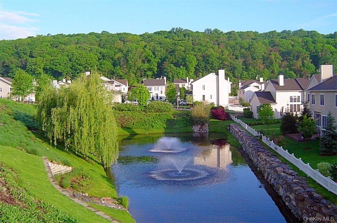 COMMUNITY POND