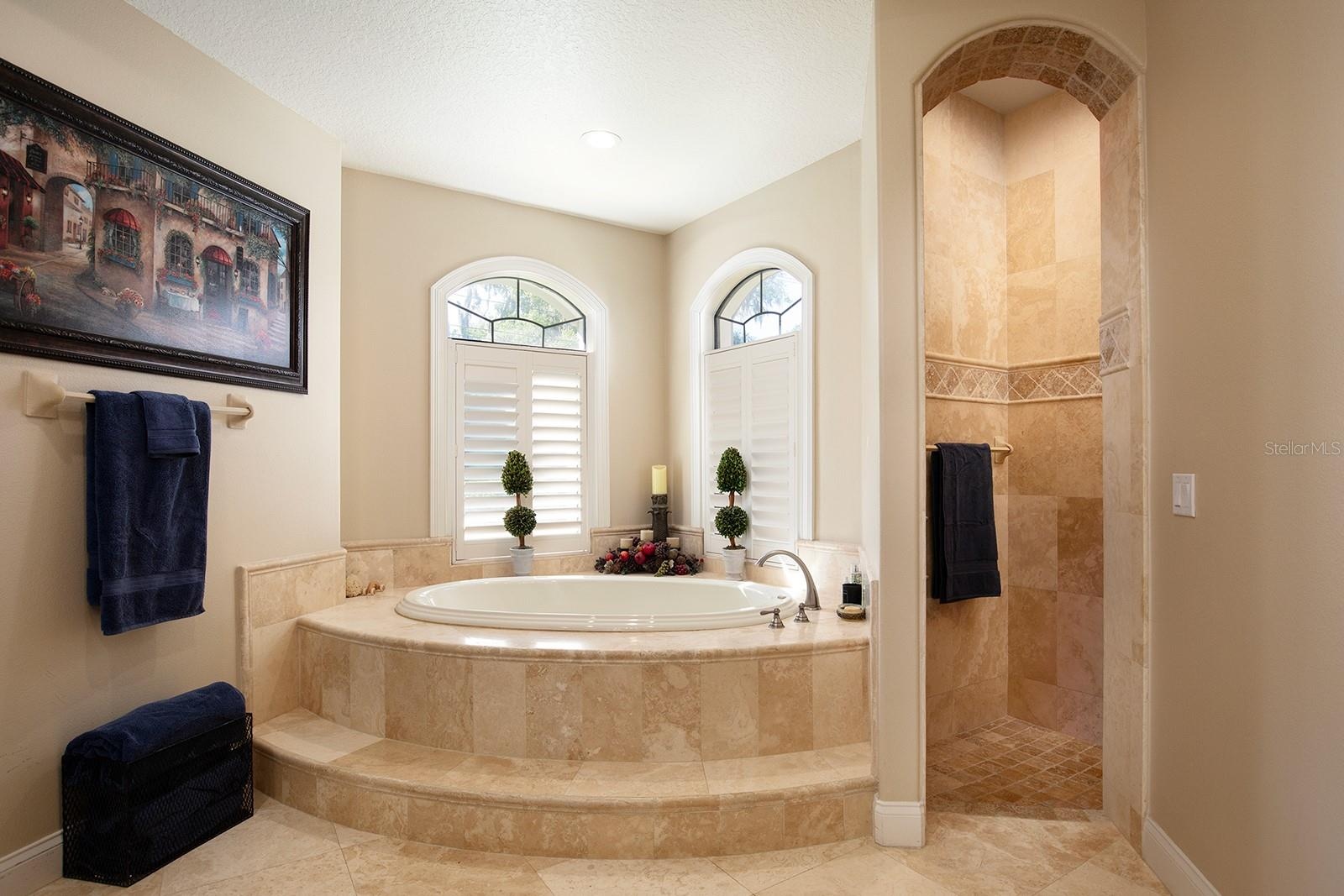 Master Tub/Shower Entrance