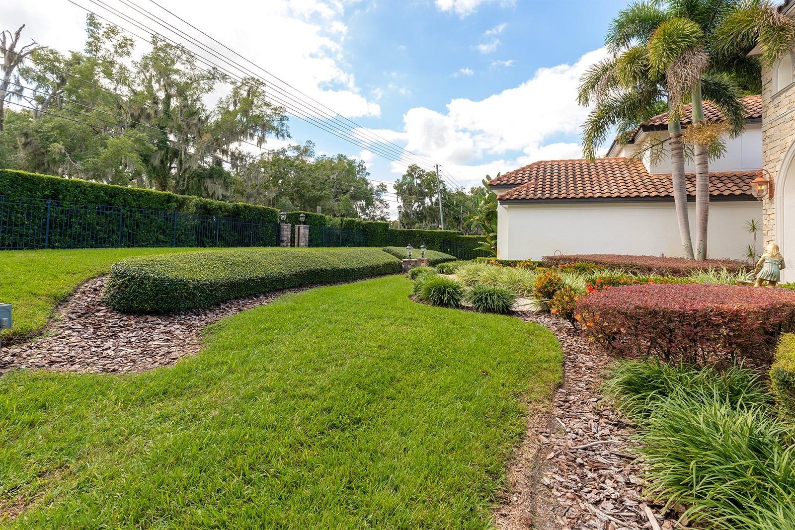 Front Yard