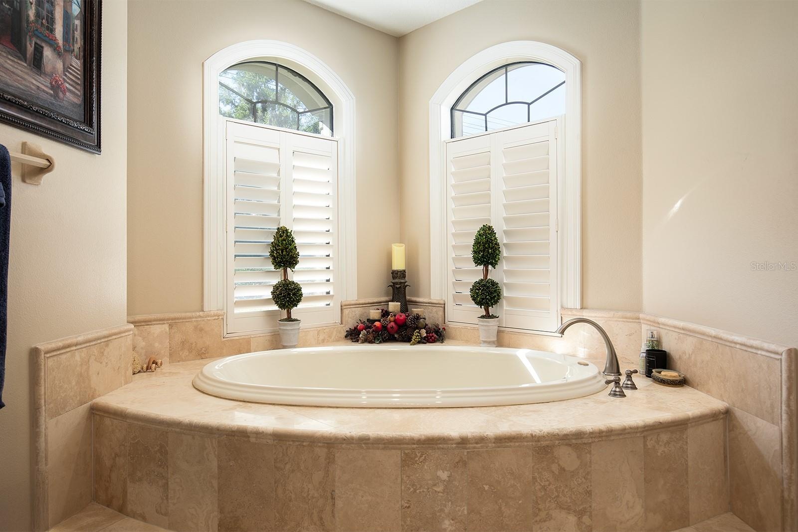 Master Tub