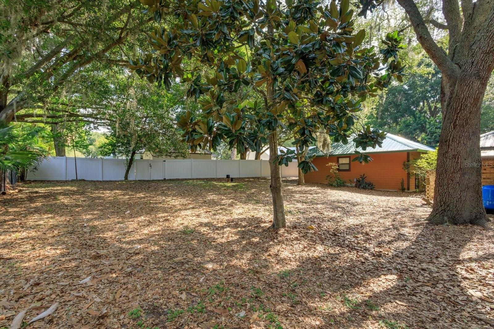 Fenced Backyard