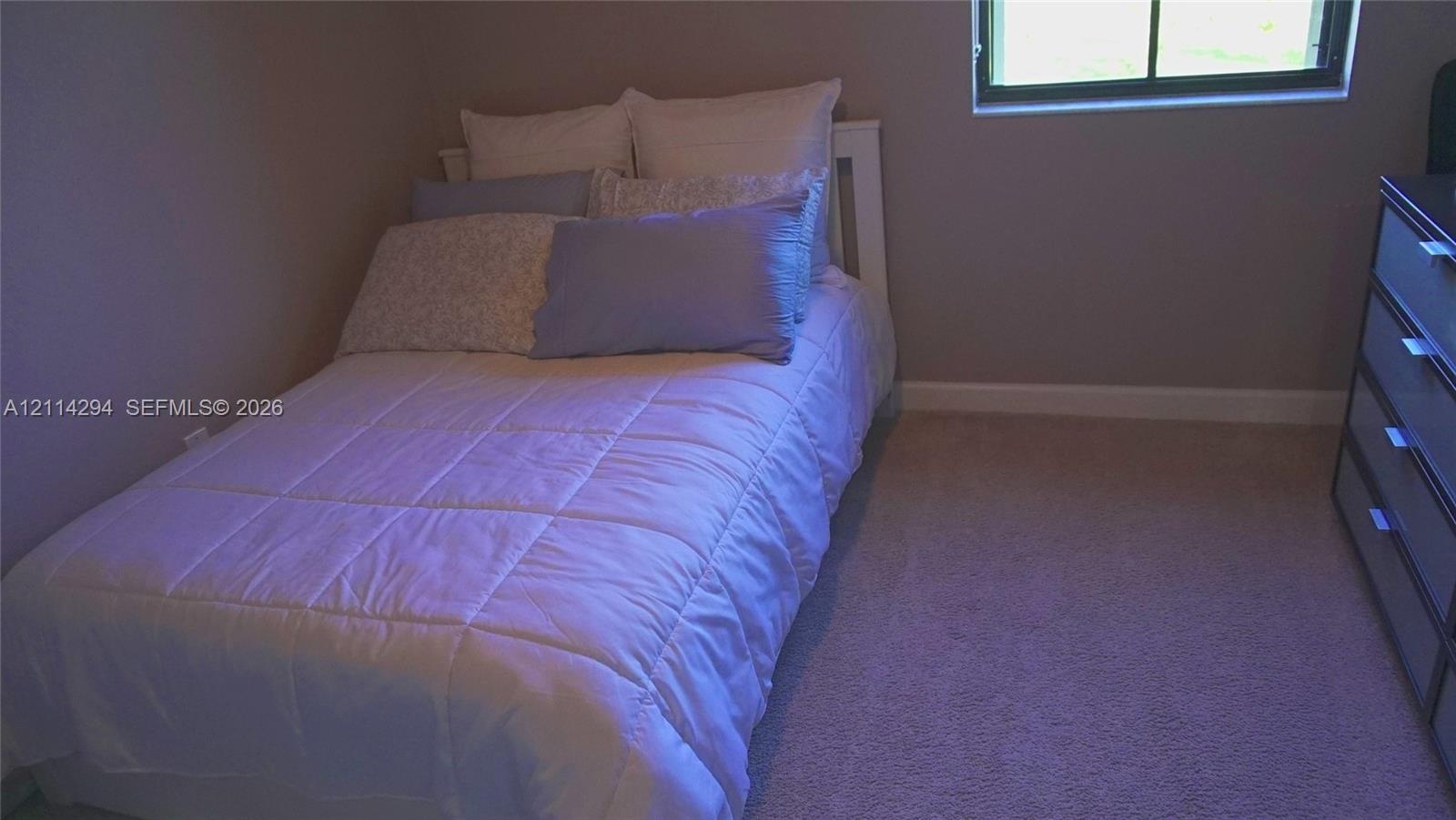 Neutral-toned walls, wall-to-wall carpeting, and a rectangular window with a dark frame